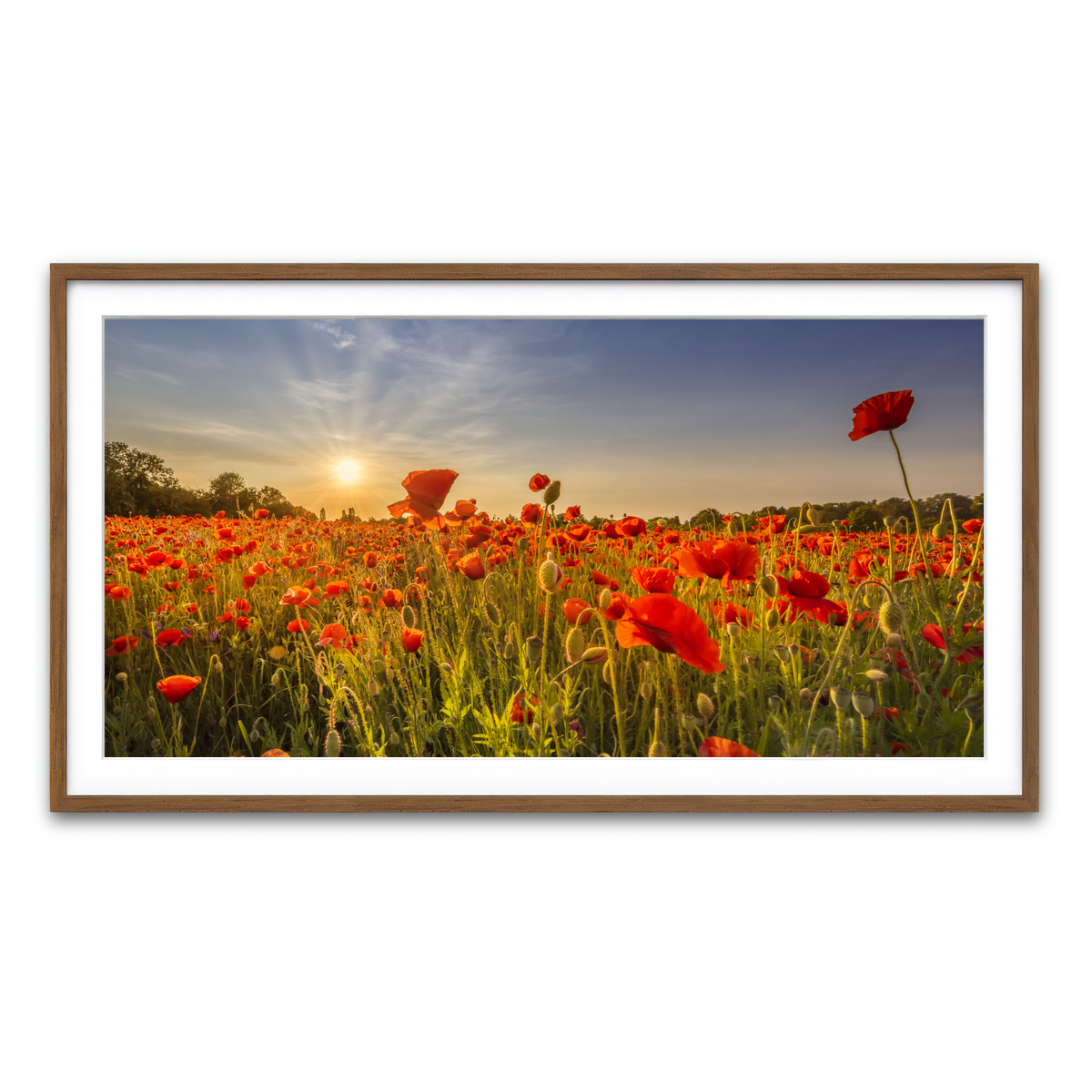 Framed Print 2x1 Walnut