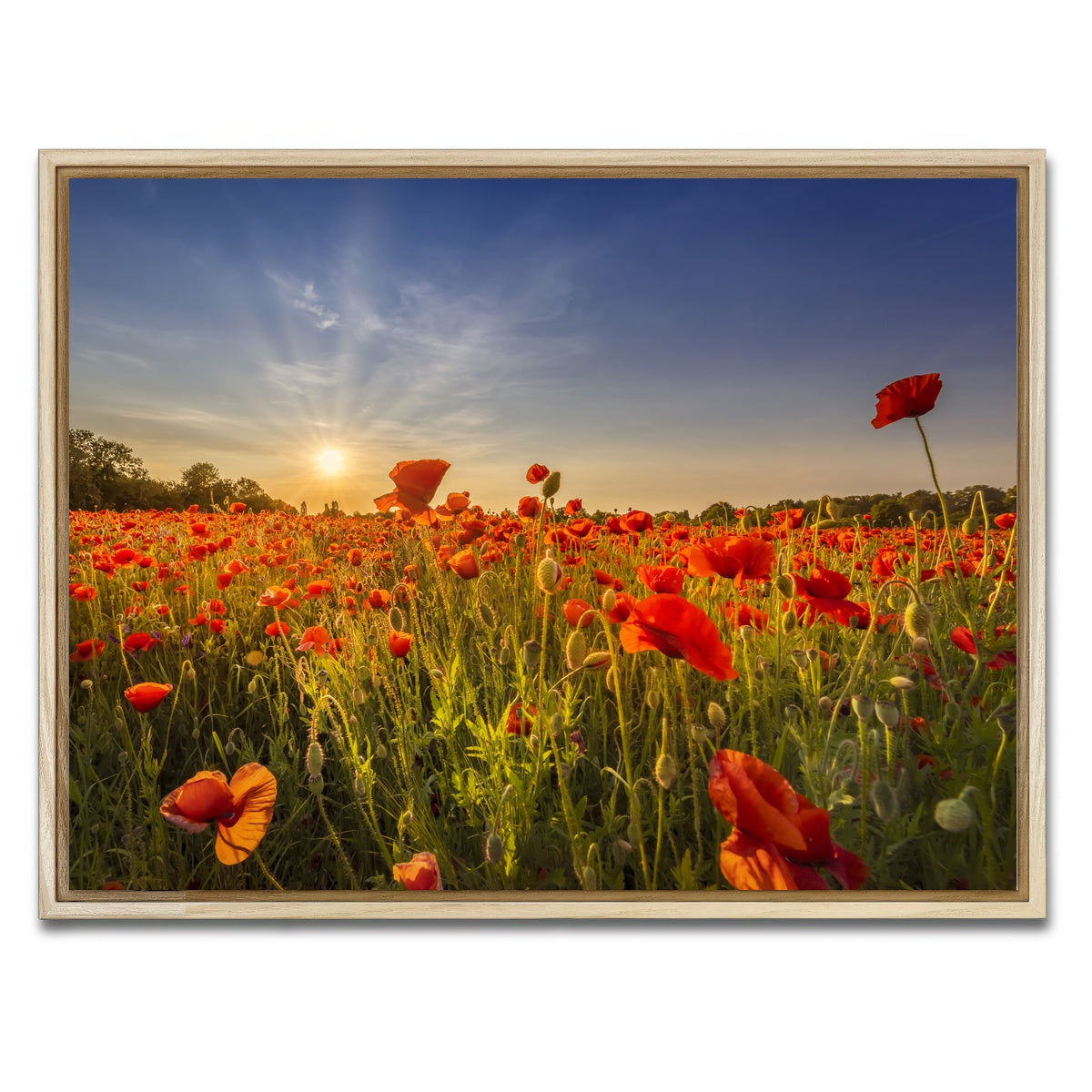 AUTO-MOCKUP WHITE | Poppy field at sunset | 1 Piece | Natural Framed Canvas | group=4x3