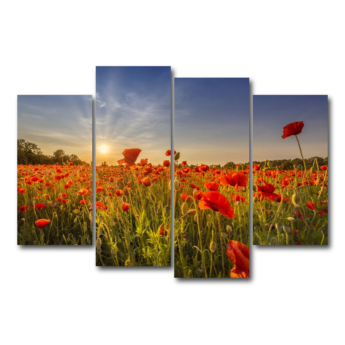 AUTO-MOCKUP WHITE | Poppy field at sunset | 4 Piece | Gallery Wrap Canvas | group=4_short