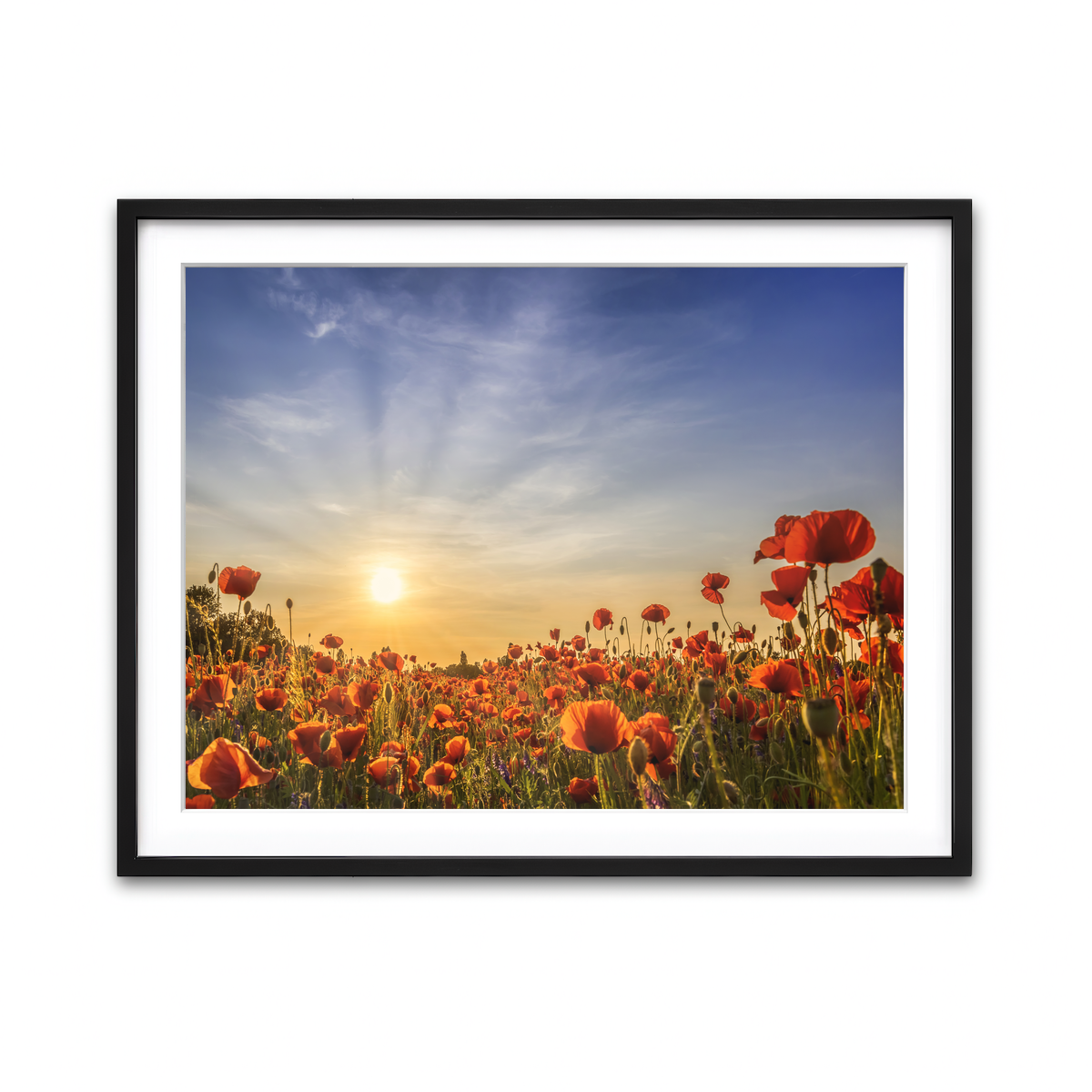 Framed Print 4x3 Black