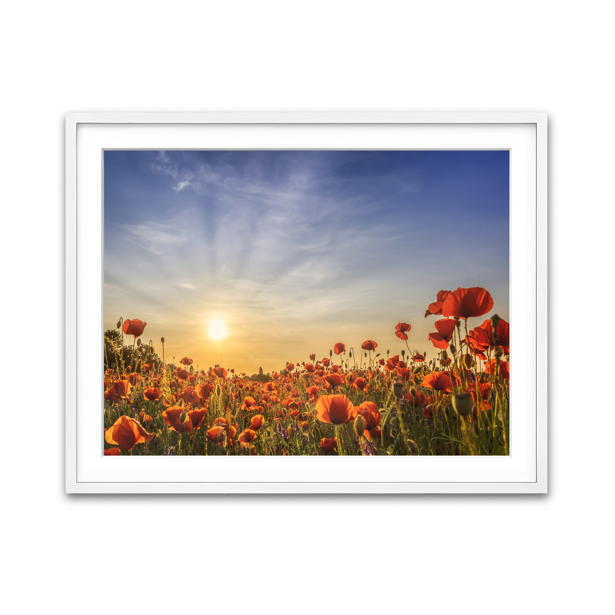 Framed Print 4x3 White