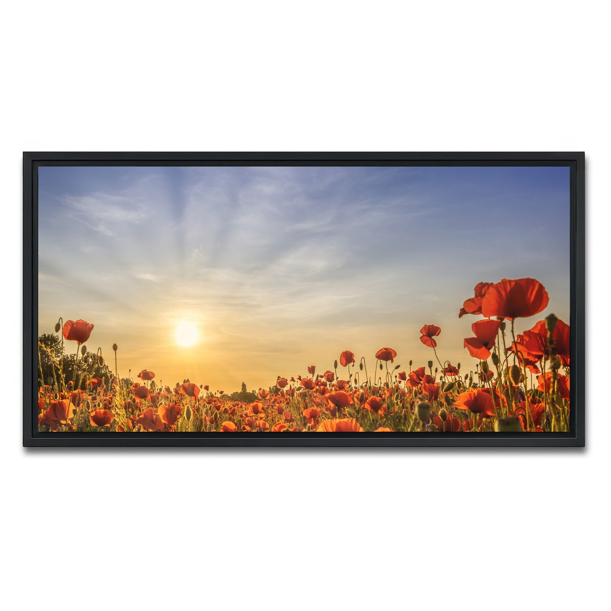 AUTO-MOCKUP WHITE | Poppy field in sunset | 1 Piece | Black Framed Canvas | group=2x1