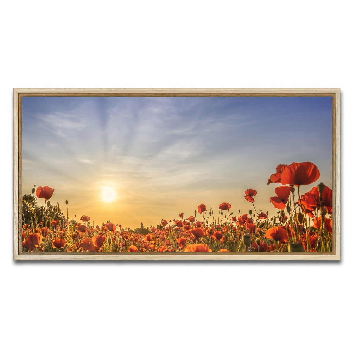 AUTO-MOCKUP WHITE | Poppy field in sunset | 1 Piece | Natural Framed Canvas | group=2x1