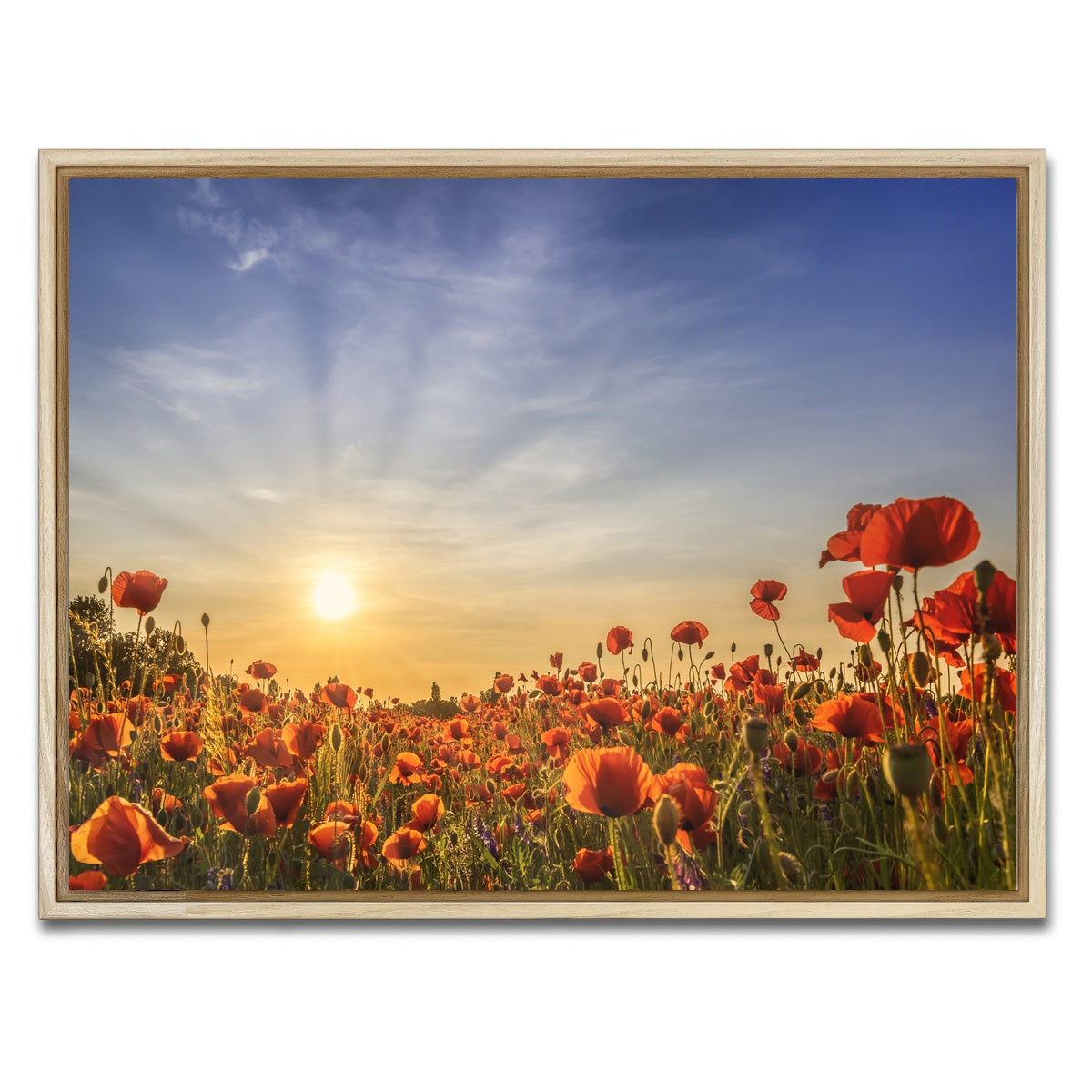 AUTO-MOCKUP WHITE | Poppy field in sunset | 1 Piece | Natural Framed Canvas | group=4x3