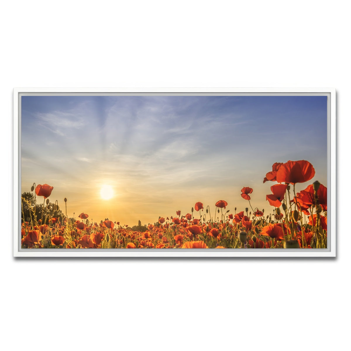 AUTO-MOCKUP WHITE | Poppy field in sunset | 1 Piece | White Framed Canvas | group=2x1