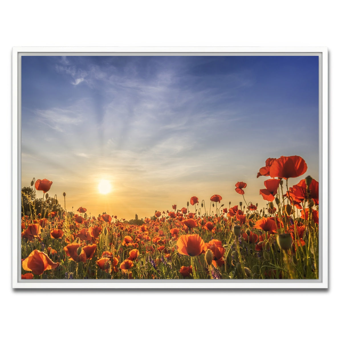 AUTO-MOCKUP WHITE | Poppy field in sunset | 1 Piece | White Framed Canvas | group=4x3