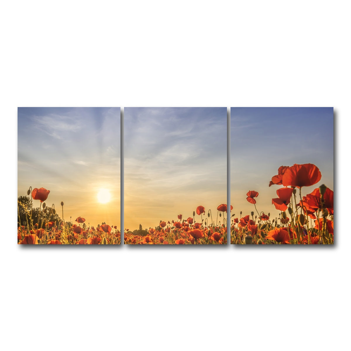 AUTO-MOCKUP WHITE | Poppy field in sunset | 3 Piece | Gallery Wrap Canvas | group=18x24