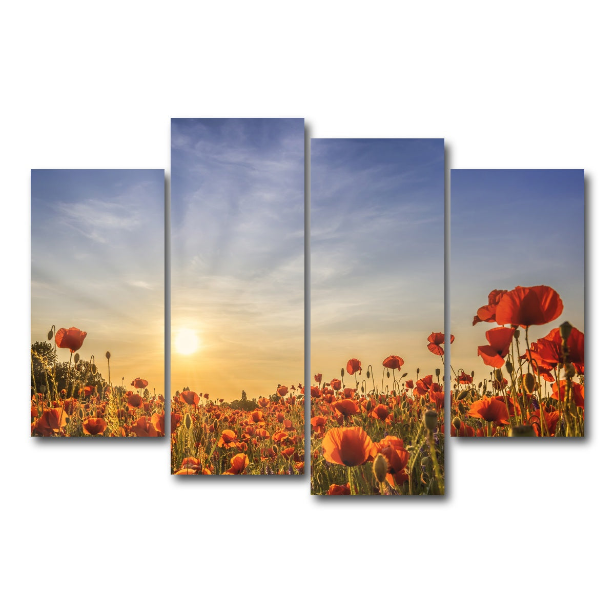 AUTO-MOCKUP WHITE | Poppy field in sunset | 4 Piece | Gallery Wrap Canvas | group=4_short