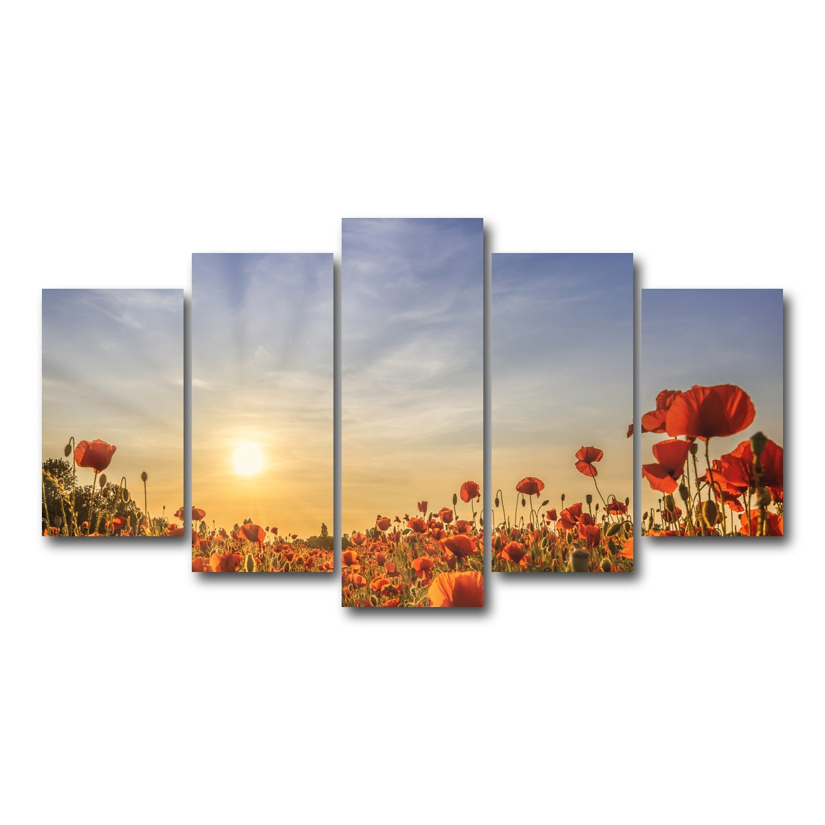 AUTO-MOCKUP WHITE | Poppy field in sunset | 5 Piece | Gallery Wrap Canvas | group=5_normal