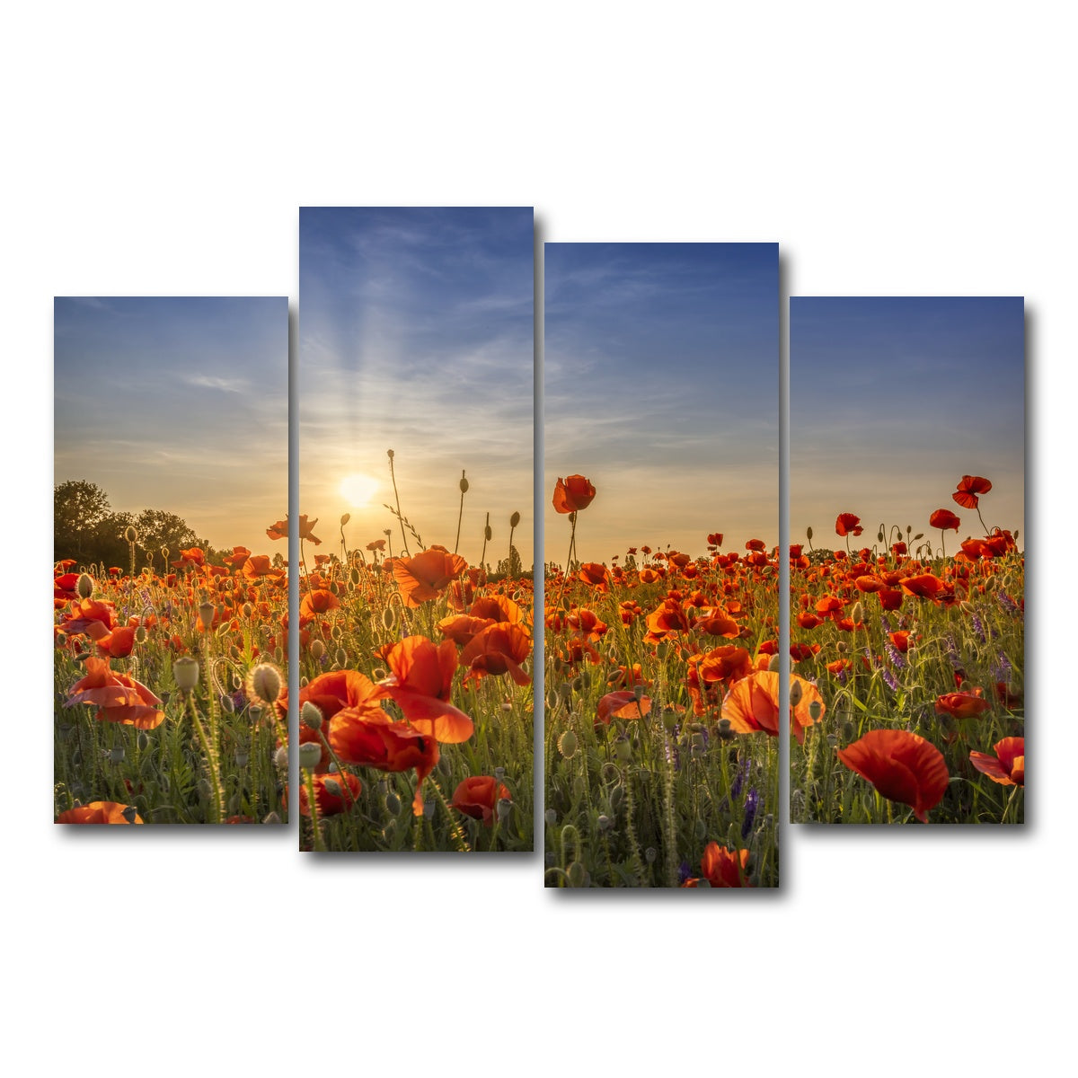AUTO-MOCKUP WHITE | Poppy idyll in sunset | 4 Piece | Gallery Wrap Canvas | group=4_normal