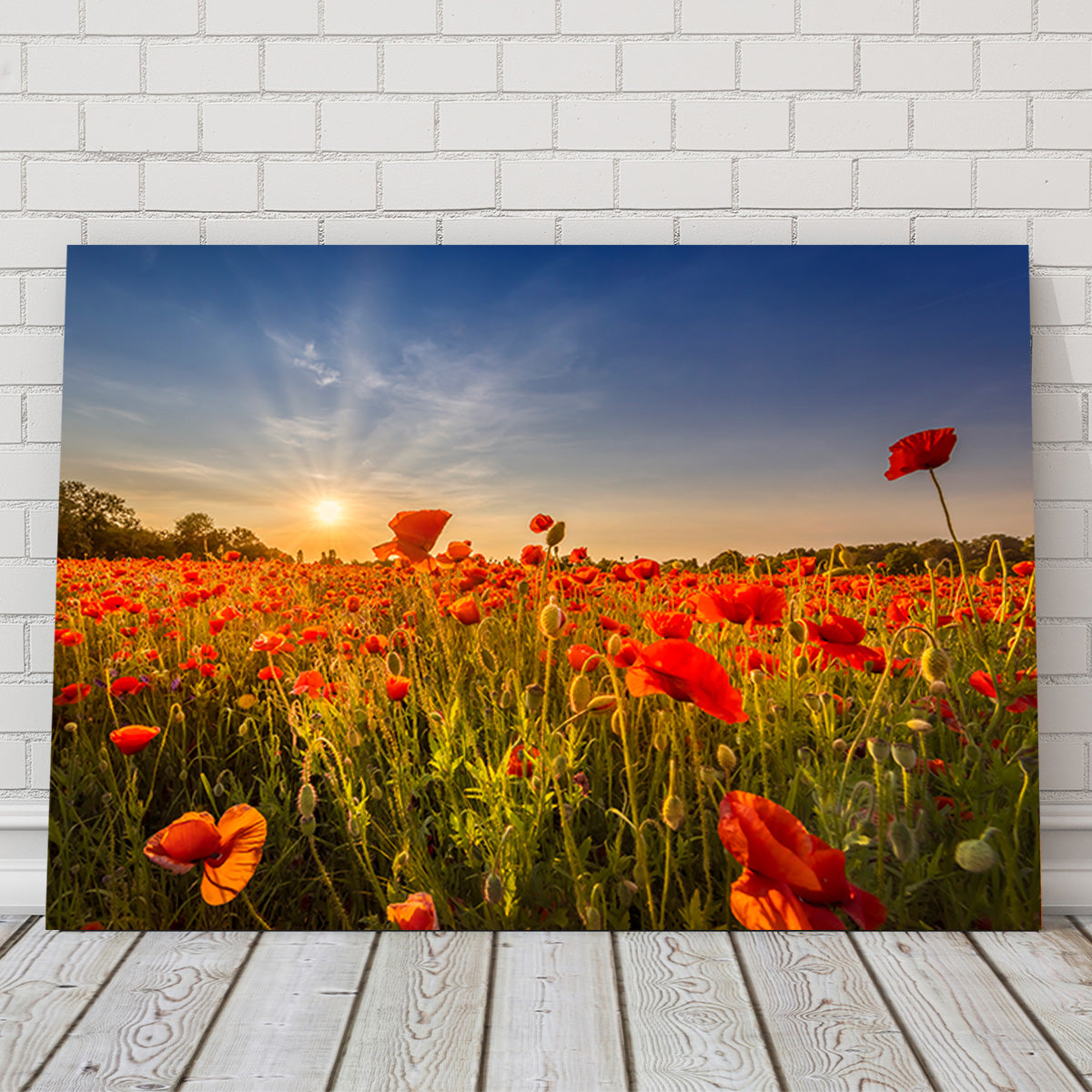 Poppy Field at Sunset Wall Art
