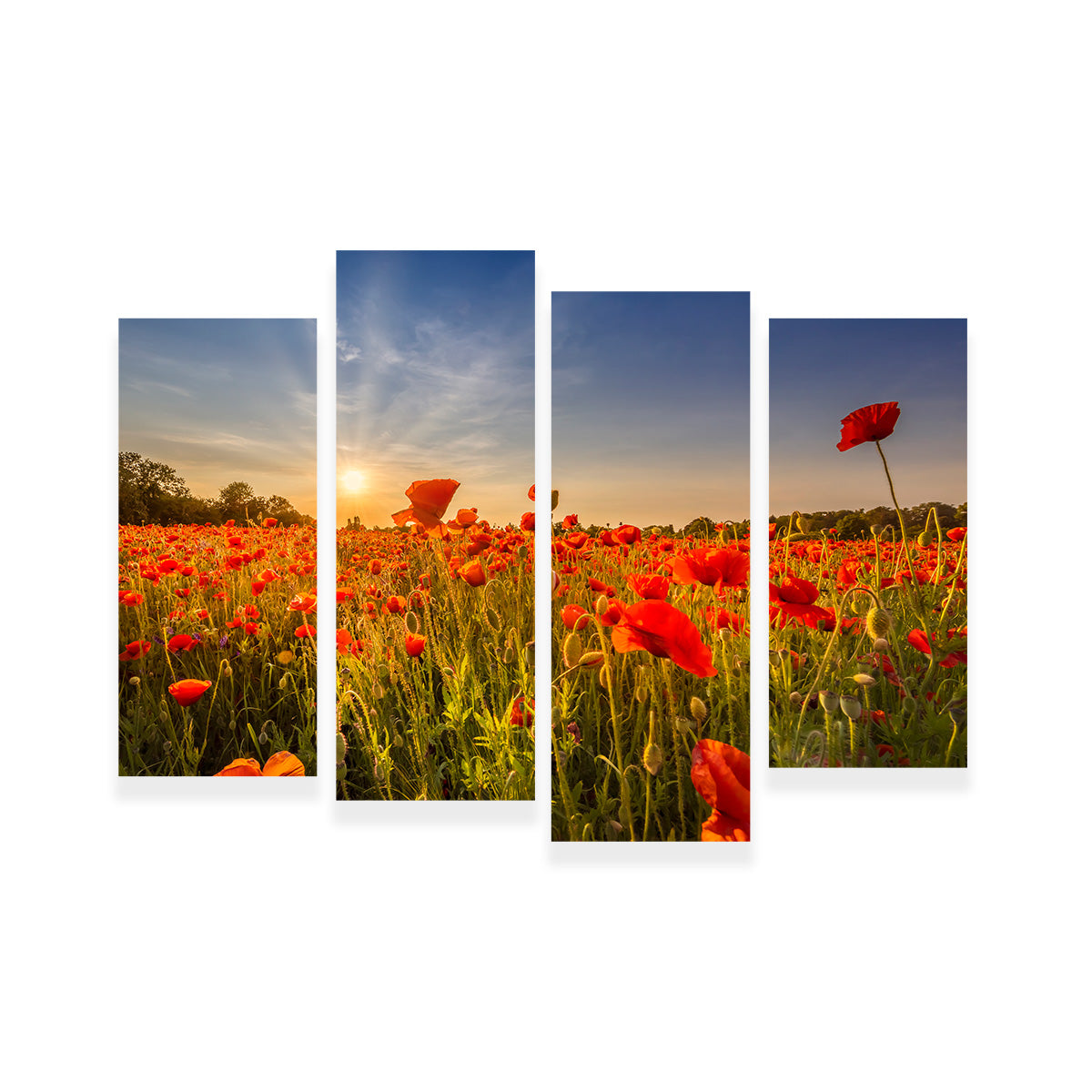 Poppy Field at Sunset Wall Art