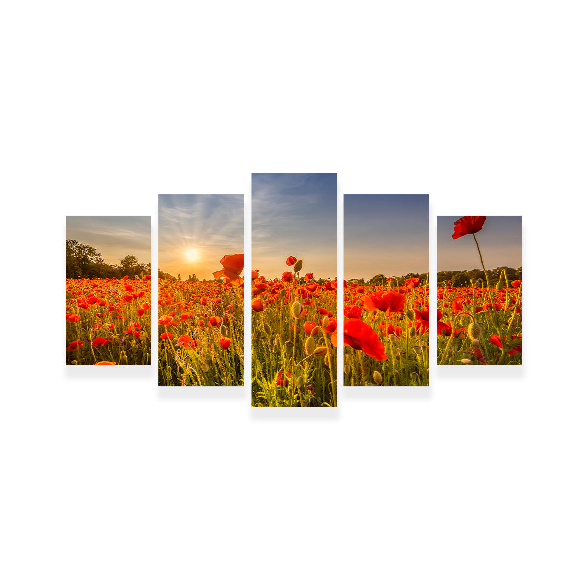 Poppy Field at Sunset Wall Art