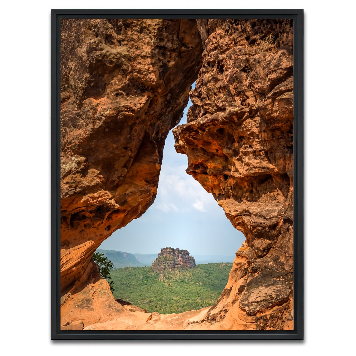 AUTO-MOCKUP WHITE | Portal to Cerrado | 1 Piece | Black Framed Canvas | group=3x4