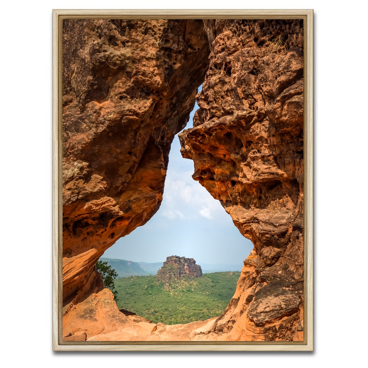 AUTO-MOCKUP WHITE | Portal to Cerrado | 1 Piece | Natural Framed Canvas | group=3x4