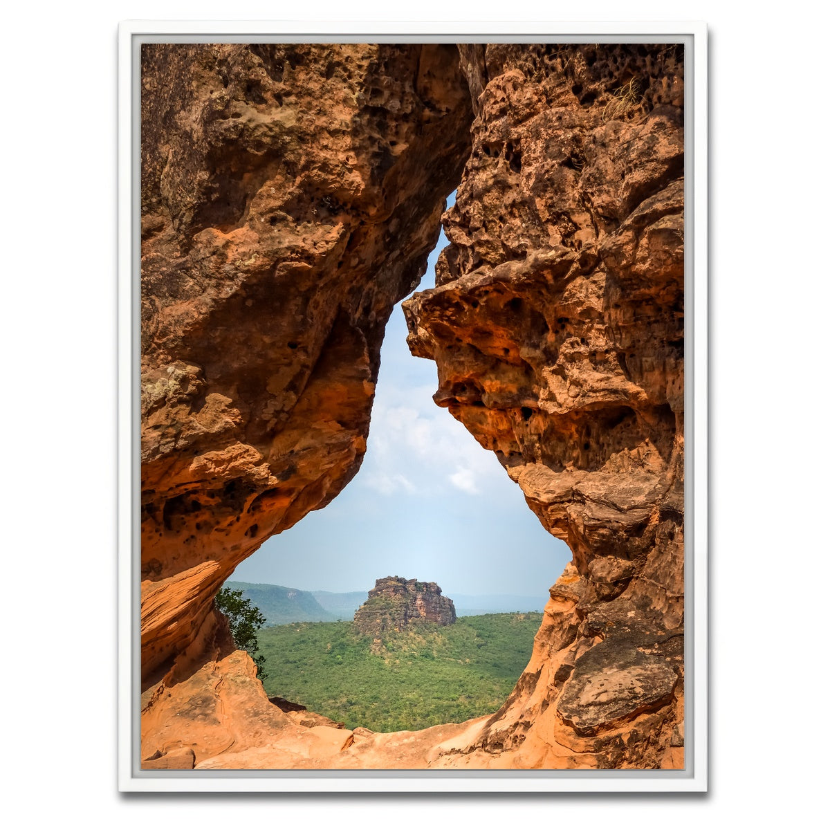 AUTO-MOCKUP WHITE | Portal to Cerrado | 1 Piece | White Framed Canvas | group=3x4