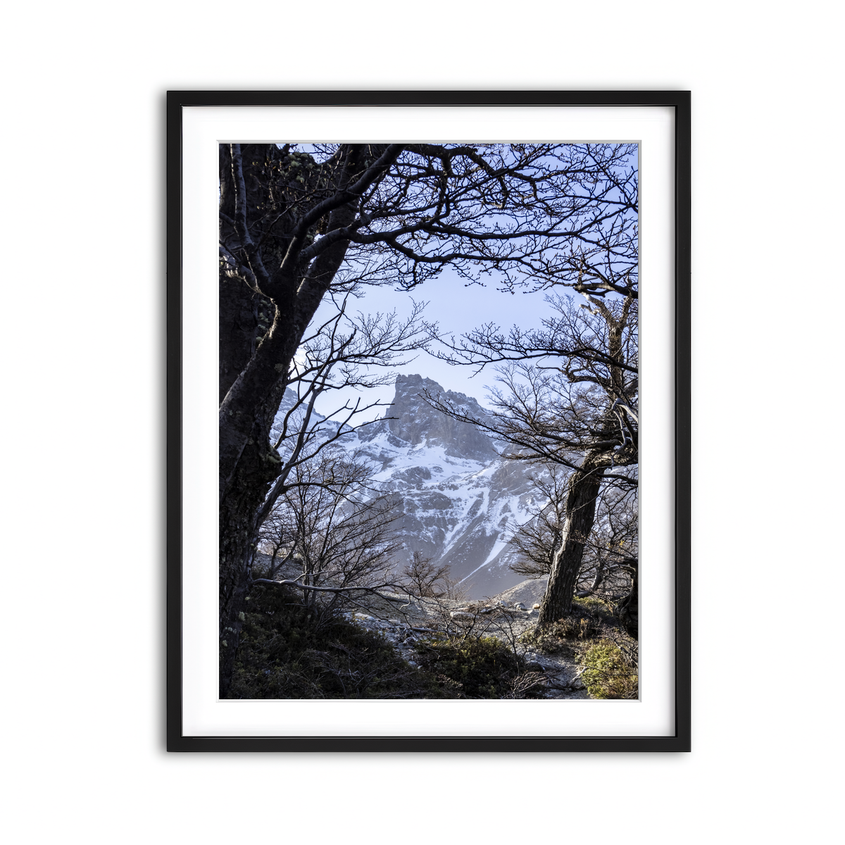 Framed Print 3x4 Black