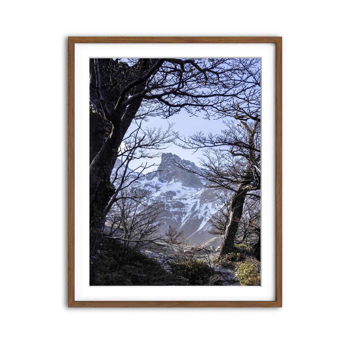 Framed Print 3x4 Walnut