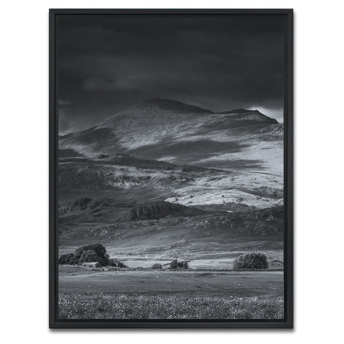 AUTO-MOCKUP WHITE | Prairie to Peak | 1 Piece | Black Framed Canvas | group=3x4