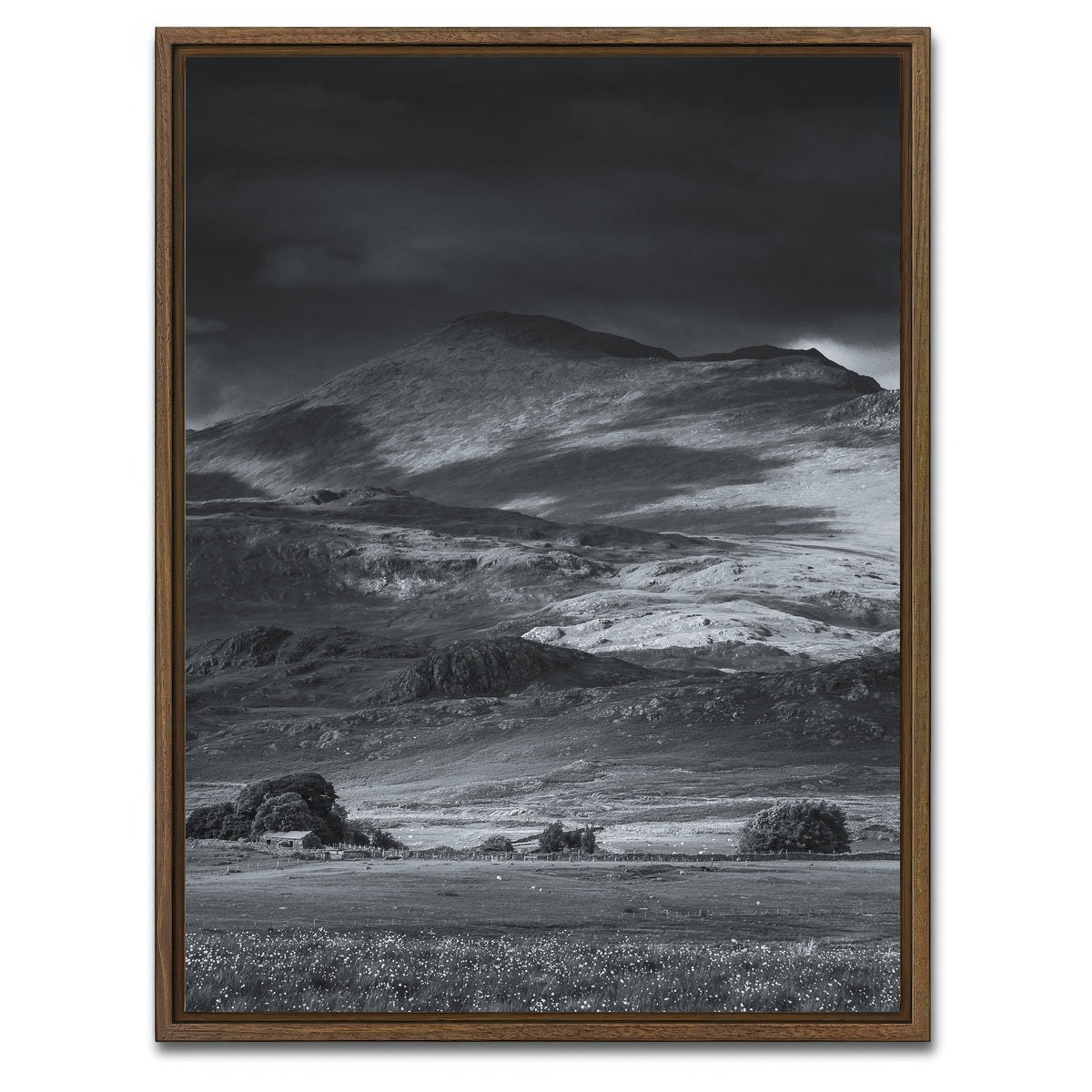 AUTO-MOCKUP WHITE | Prairie to Peak | 1 Piece | Walnut Framed Canvas | group=3x4