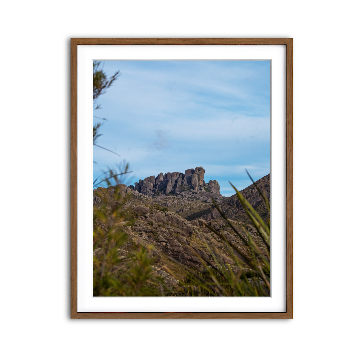 Framed Print 3x4 Walnut