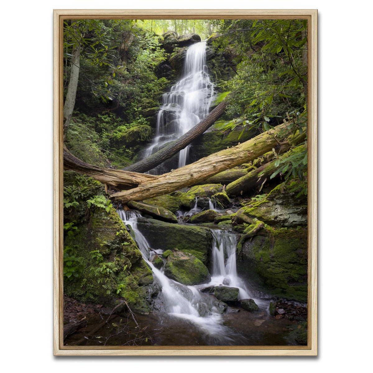 AUTO-MOCKUP WHITE | Pristine Habitat | 1 Piece | Natural Framed Canvas | group=3x4