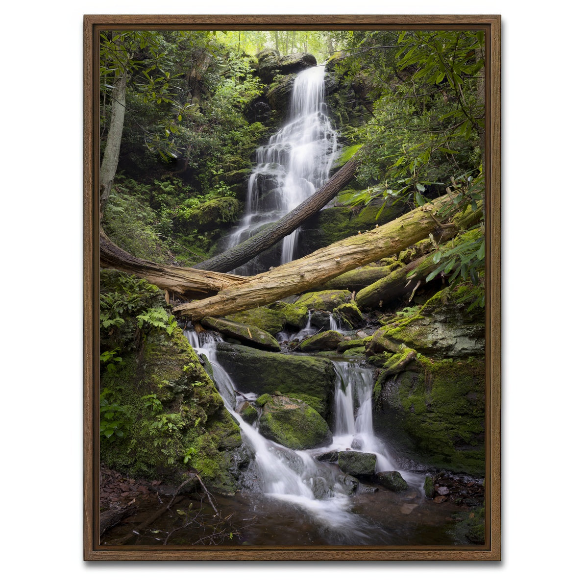 AUTO-MOCKUP WHITE | Pristine Habitat | 1 Piece | Walnut Framed Canvas | group=3x4