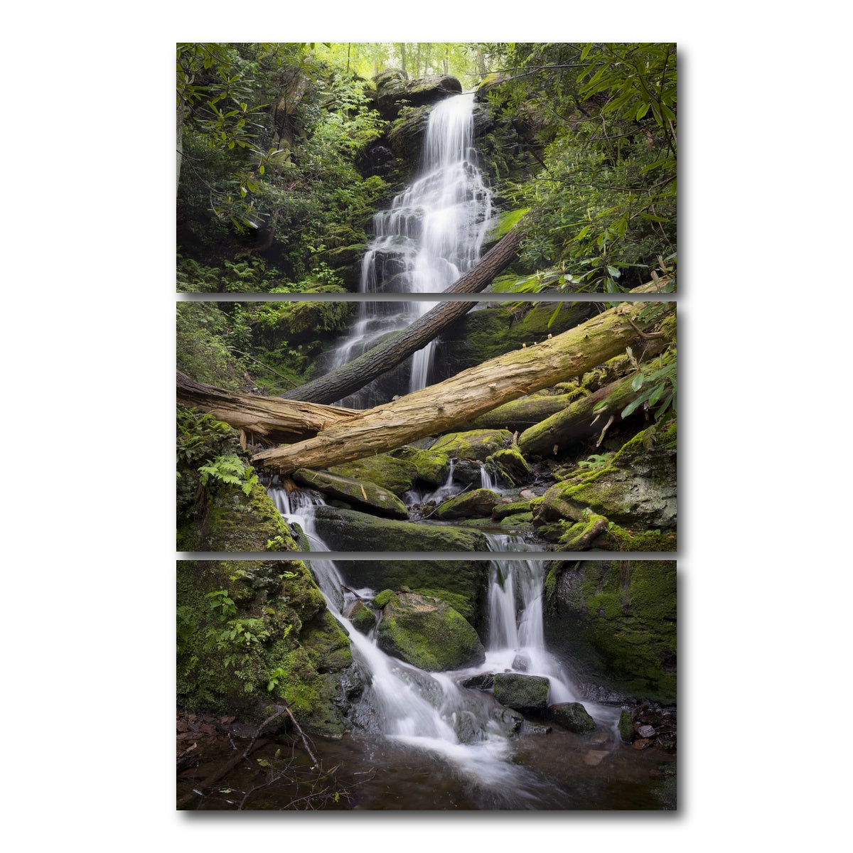 AUTO-MOCKUP WHITE | Pristine Habitat | 3 Piece | Gallery Wrap Canvas | group=12x24_stacked