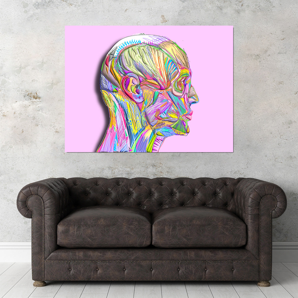 Profile Face Muscles Wall Art