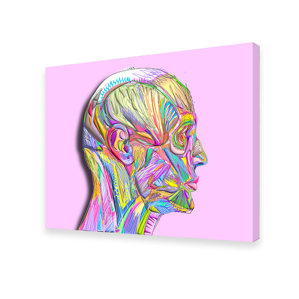 Profile Face Muscles Wall Art