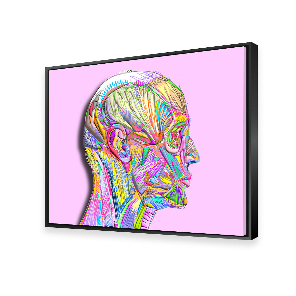 Profile Face Muscles Wall Art