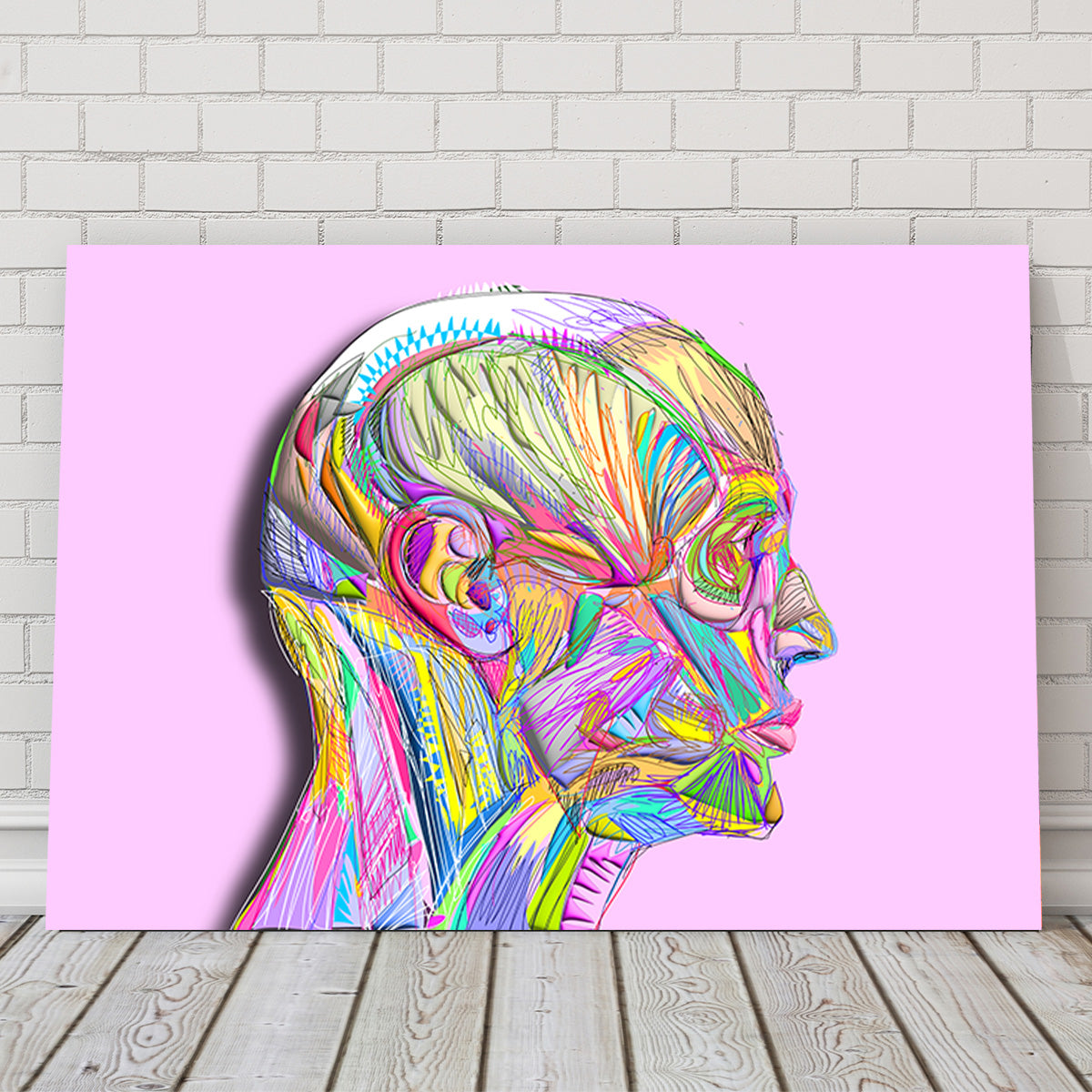 Profile Face Muscles Wall Art