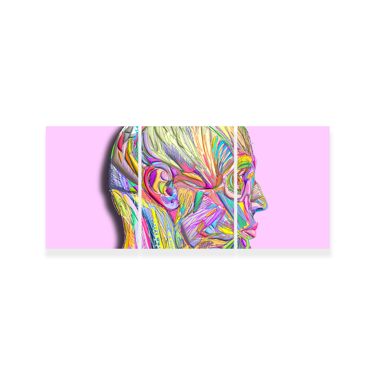 Profile Face Muscles Wall Art