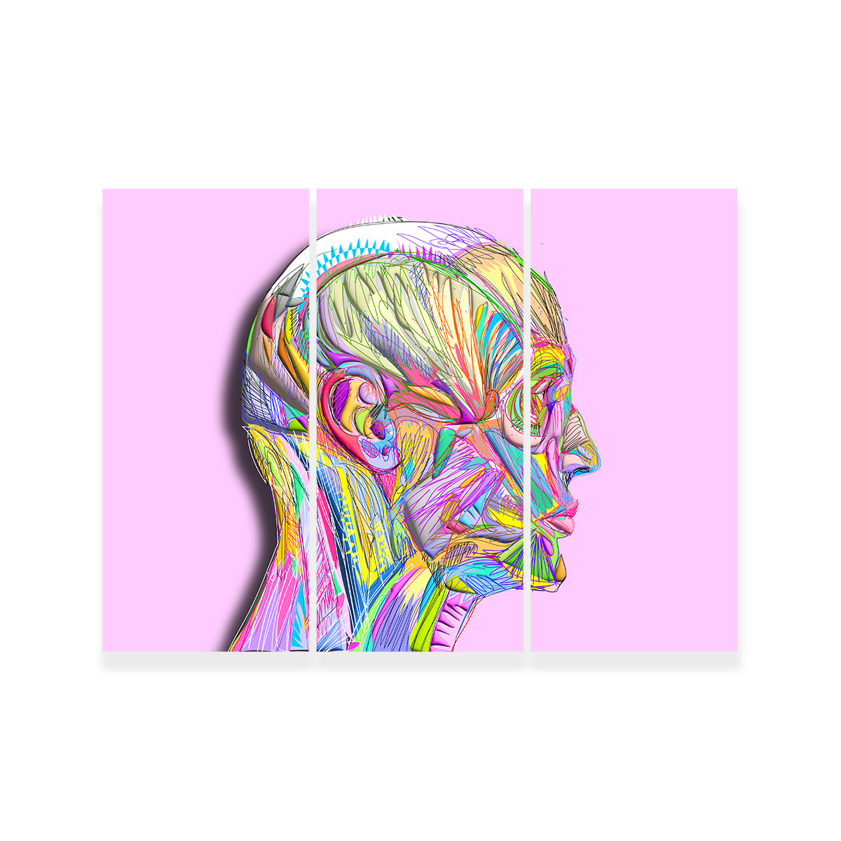 Profile Face Muscles Wall Art