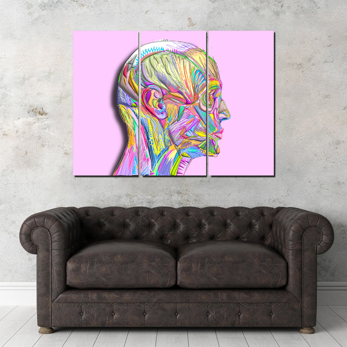 Profile Face Muscles Wall Art