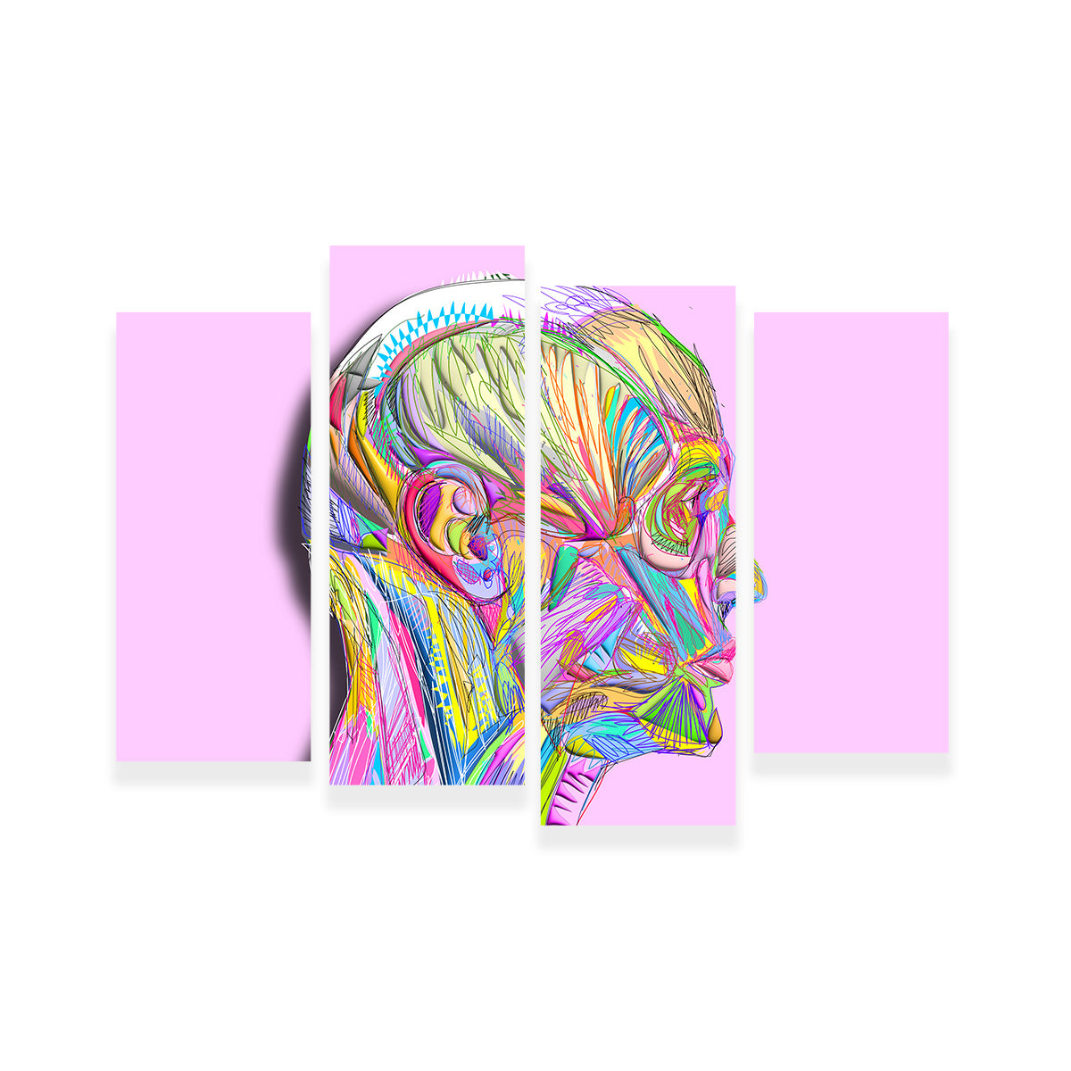 Profile Face Muscles Wall Art