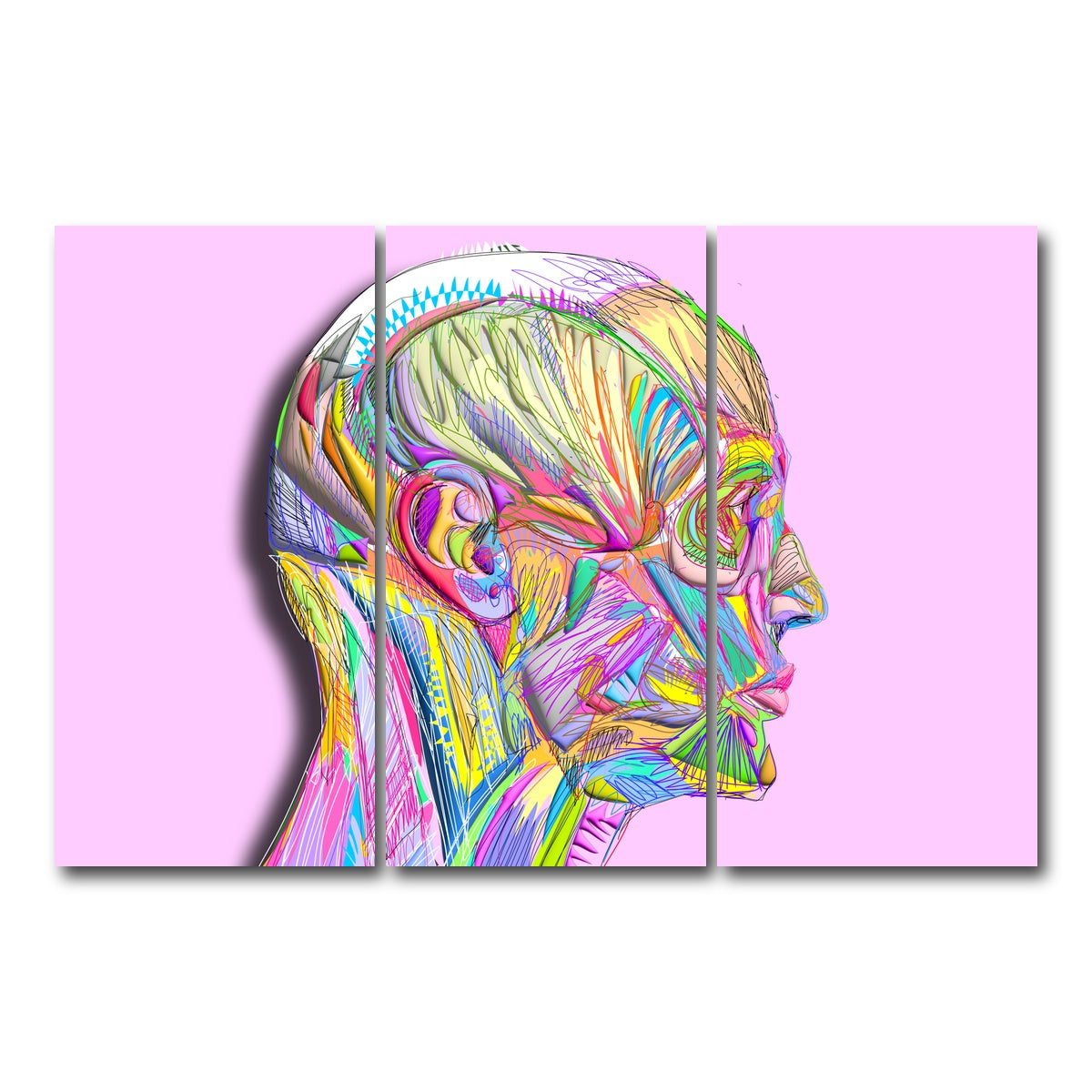 AUTO-MOCKUP WHITE | Profile Face Muscles | 3 Piece | Gallery Wrap Canvas | group=12x24