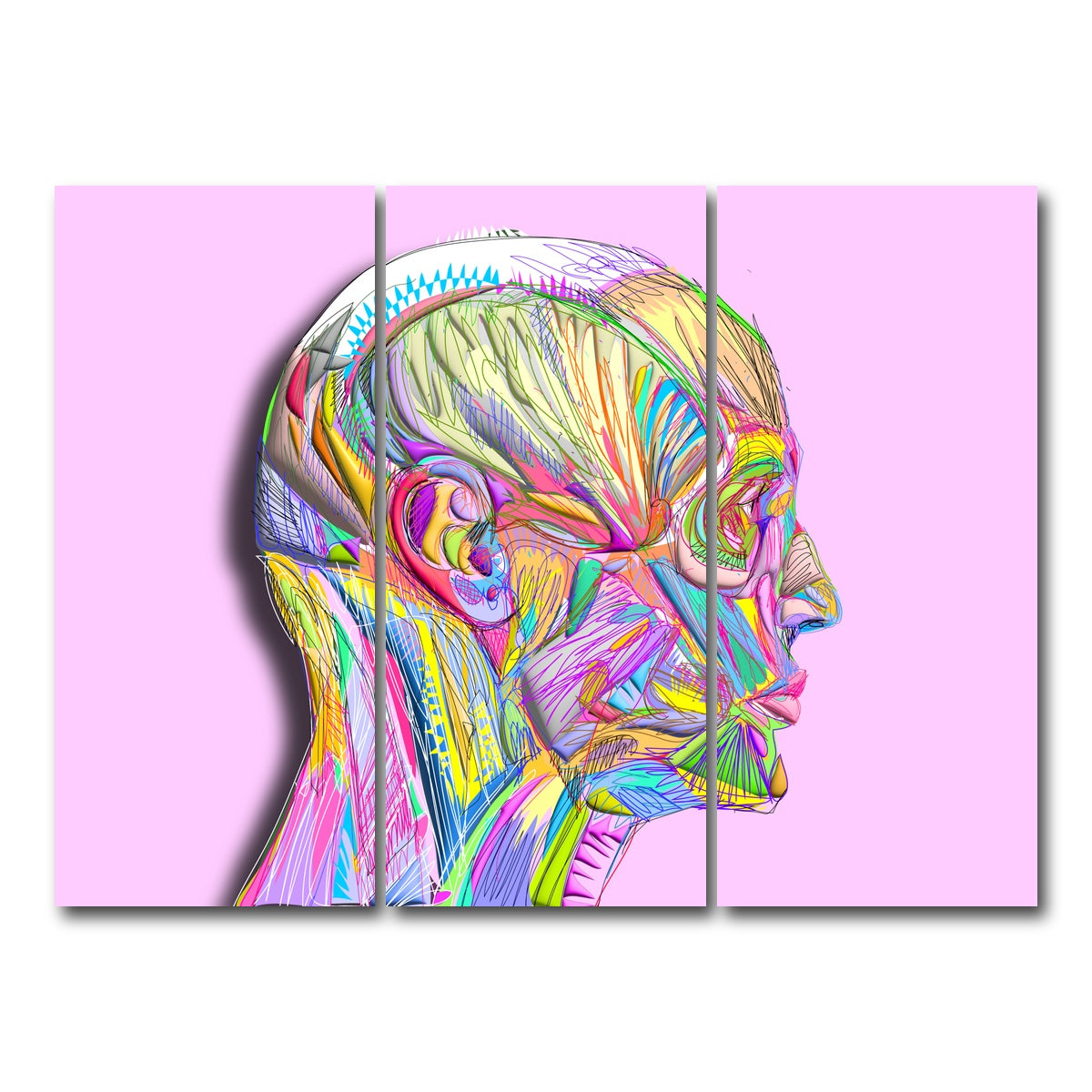 AUTO-MOCKUP WHITE | Profile Face Muscles | 3 Piece | Gallery Wrap Canvas | group=8x18