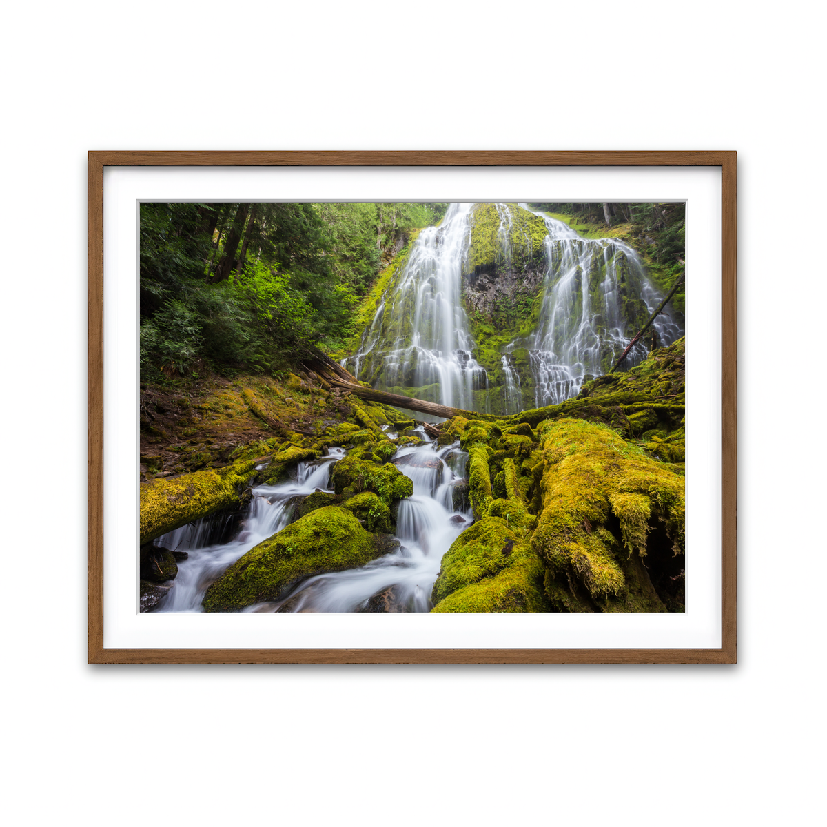 Framed Print 4x3 Walnut