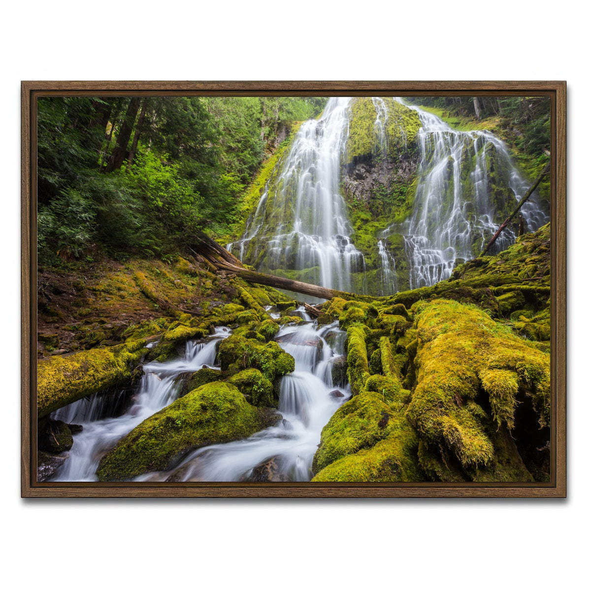 AUTO-MOCKUP WHITE | Proxy falls | 1 Piece | Walnut Framed Canvas | group=4x3