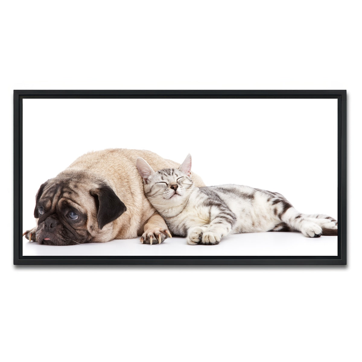AUTO-MOCKUP WHITE | Pug and Cat | 1 Piece | Black Framed Canvas | group=2x1