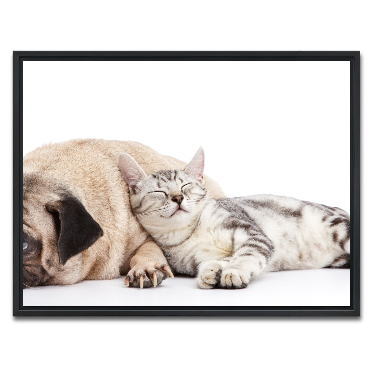 AUTO-MOCKUP WHITE | Pug and Cat | 1 Piece | Black Framed Canvas | group=4x3