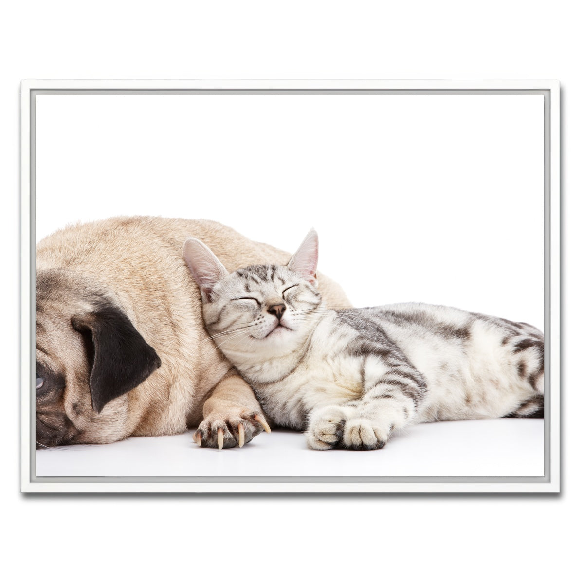 AUTO-MOCKUP WHITE | Pug and Cat | 1 Piece | White Framed Canvas | group=4x3
