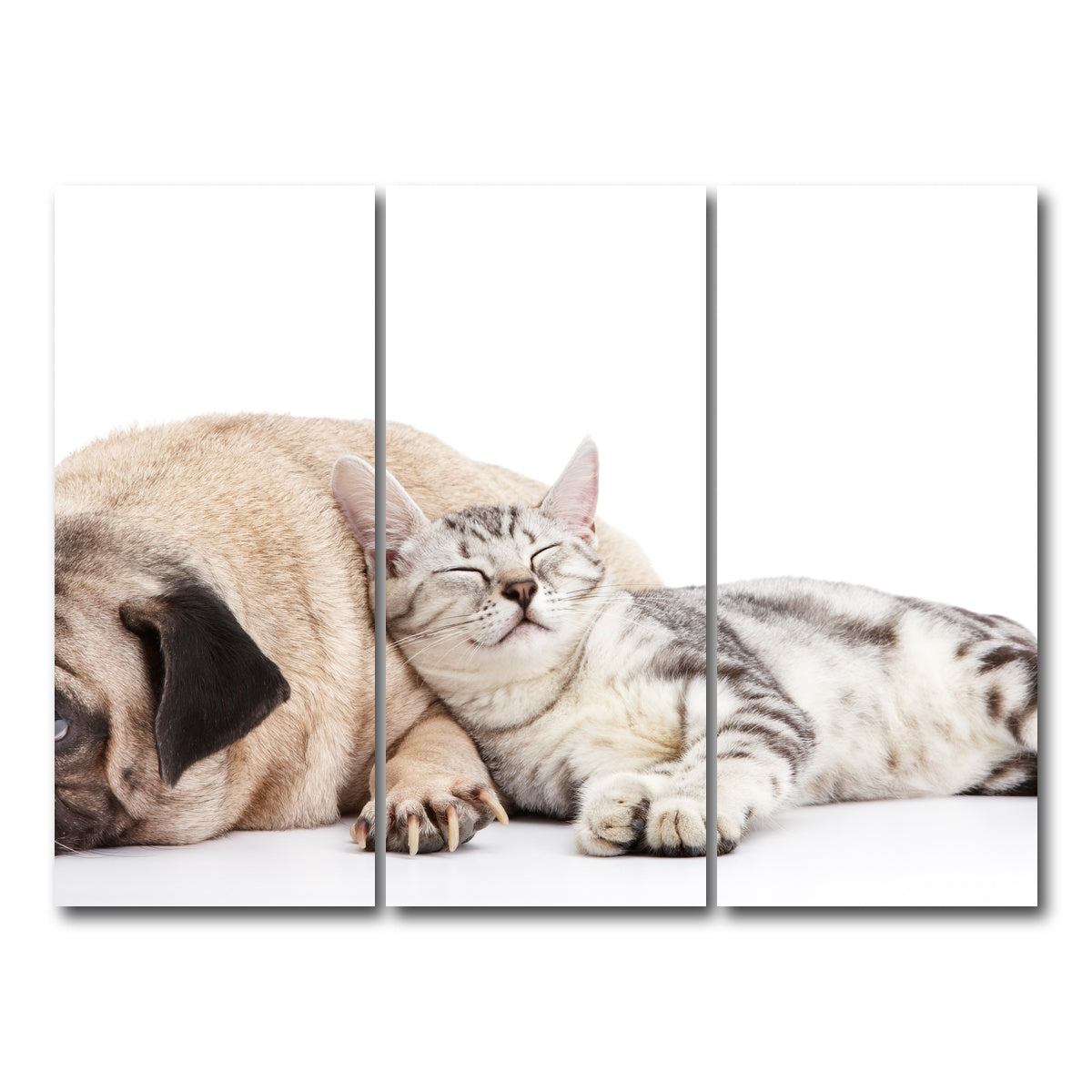 AUTO-MOCKUP WHITE | Pug and Cat | 3 Piece | Gallery Wrap Canvas | group=8x18