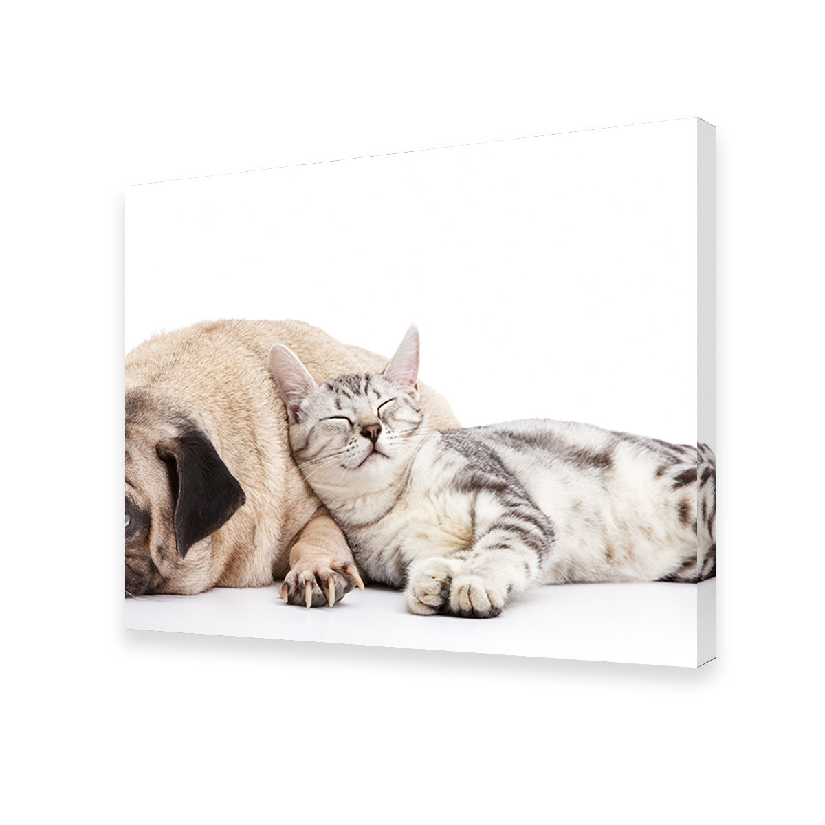 Pug and Cat Wall Art