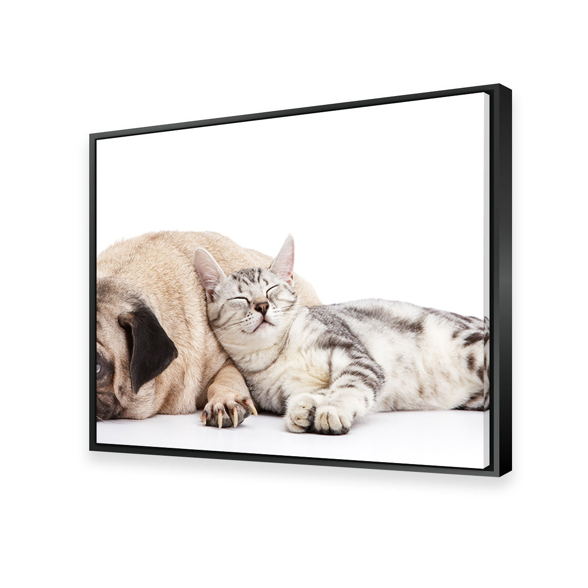 Pug and Cat Wall Art