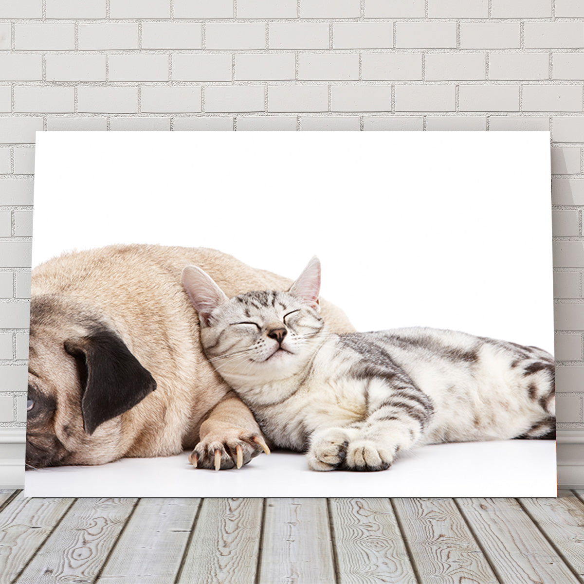 Pug and Cat Wall Art
