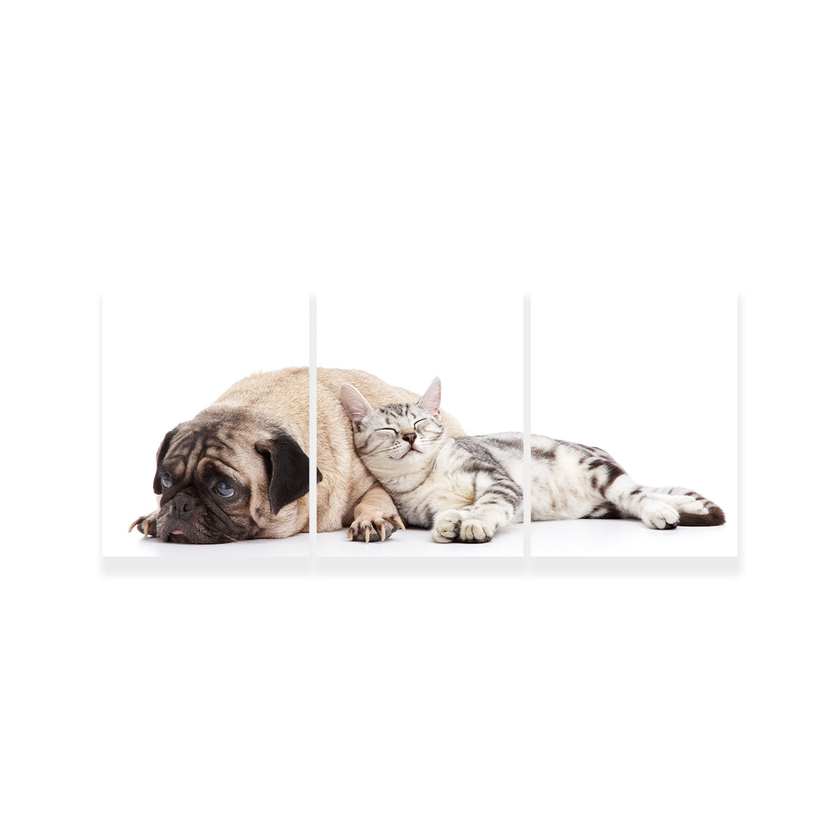 Pug and Cat Wall Art