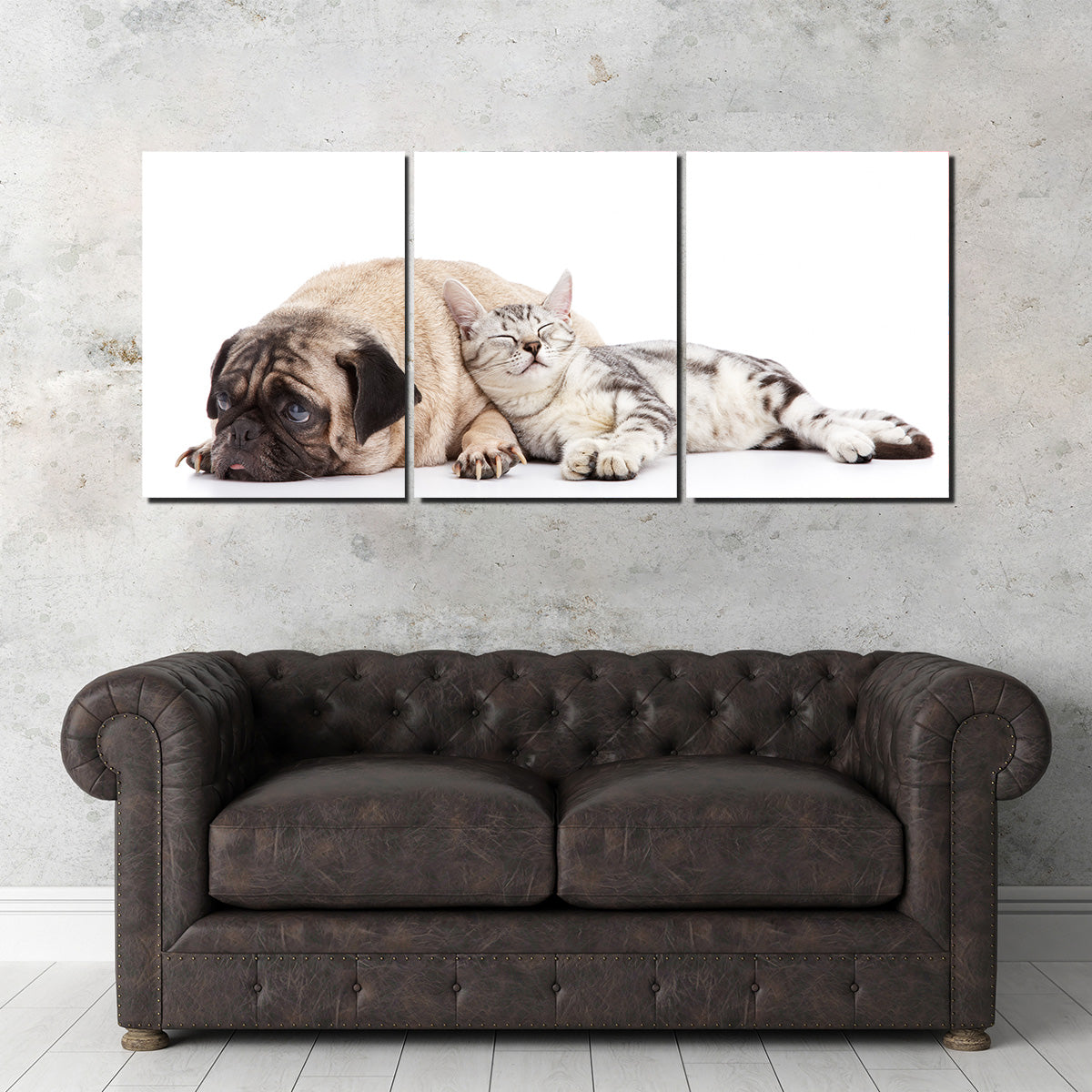 Pug and Cat Wall Art