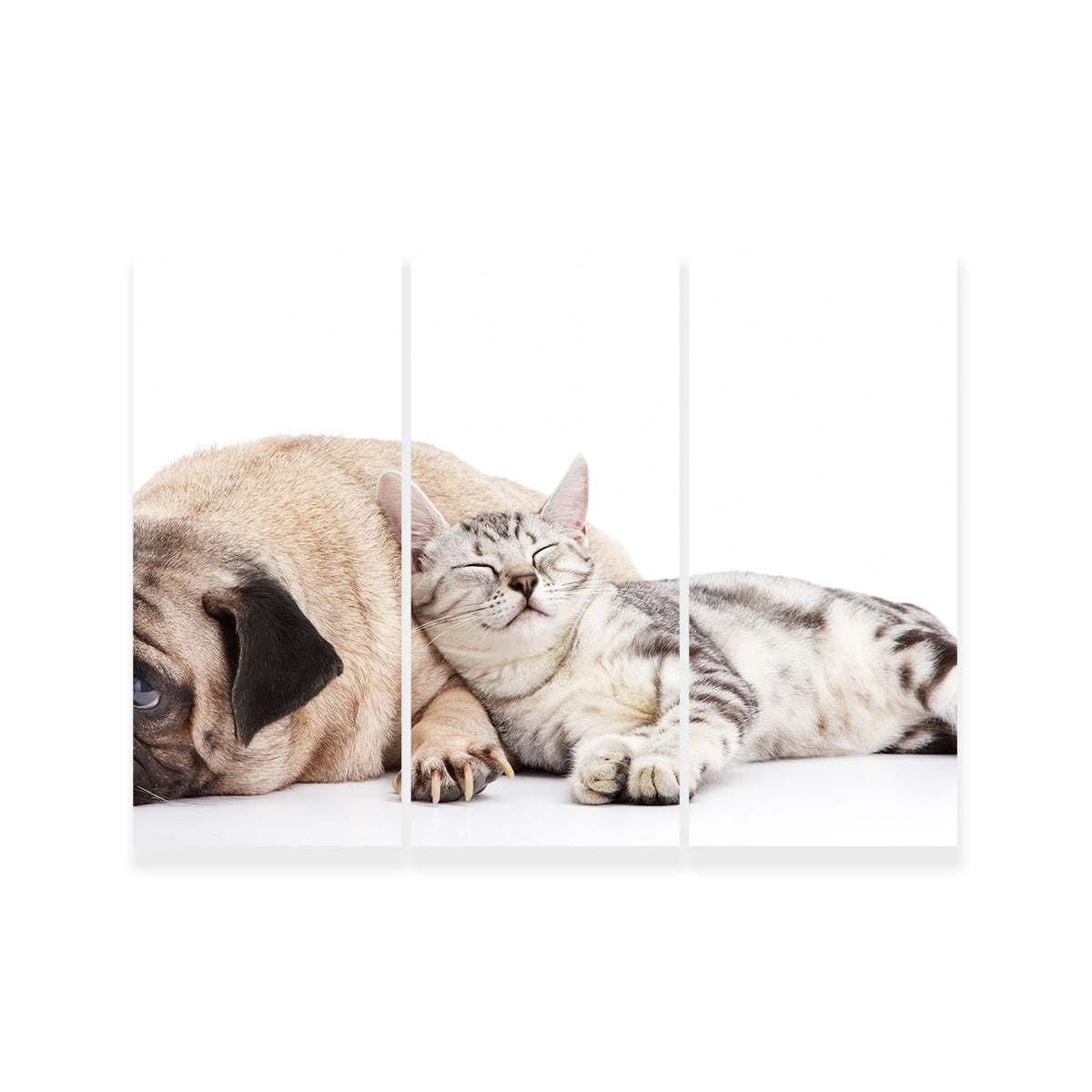 Pug and Cat Wall Art